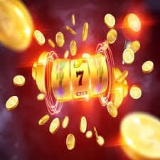 6655bet4