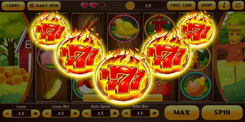 6655bet4