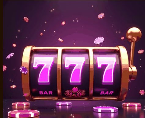 6655bet4